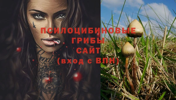 2c-b Алзамай