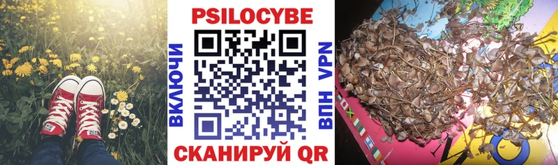 купить цена Люберцы Псилоцибиновые грибы Psilocybe